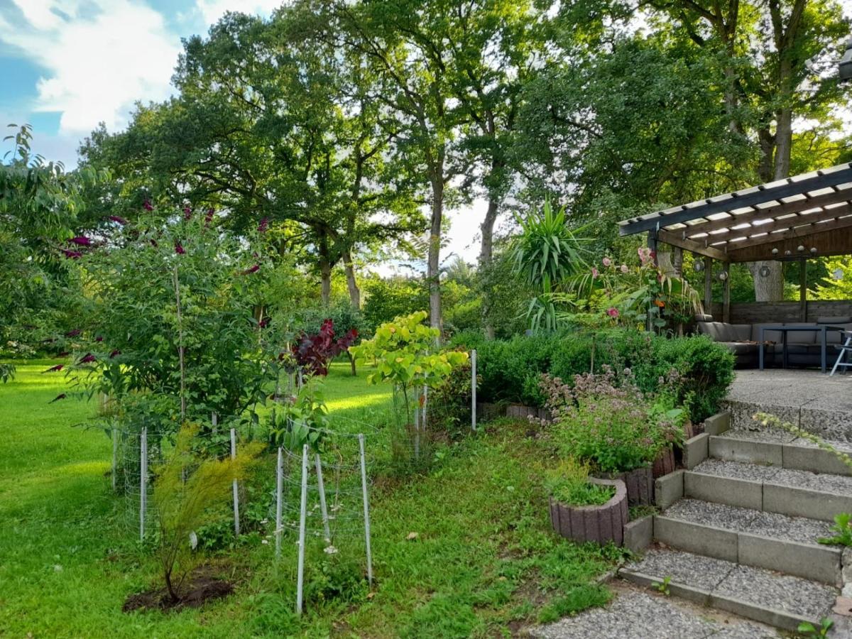 Haus Wald Und Wiese Wohnung Wald Ehndorf Εξωτερικό φωτογραφία
